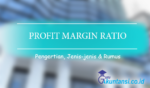 Profit Margin Ratio