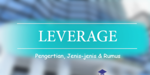 Pengertian Leverage