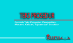 Contoh Teks Prosedur