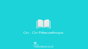 Ciri-Ciri-Pithecanthropus
