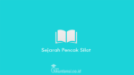 Sejarah-Pencak-Silat