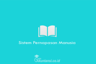 Sistem-Pernapasan-Manusia