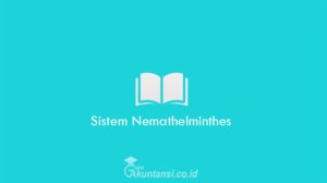 Sistem-Nemathelm