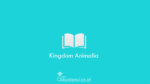 Kingdom-Animalia