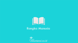 Rangka-Manusia