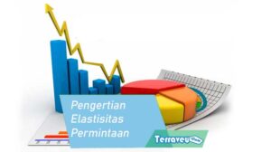 Pengertian Elastisitas Permintaan