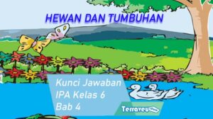 Kunci Jawaban Ipa Kelas 6 Sd Bab 4