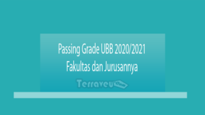 Passing Grade Ubb 2020-2021 Fakultas Dan Jurusannya