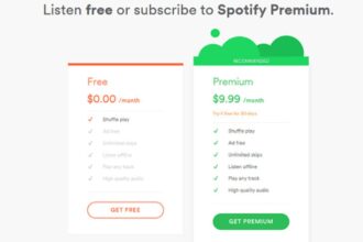 Perbedaan Spotify Premium Dan Biasa