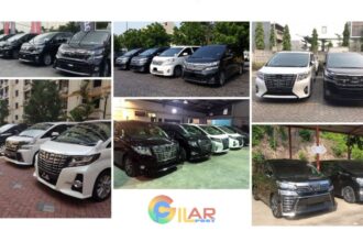 Sewa Alphard Fumida Rent