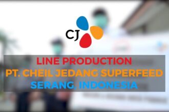 Gaji Karyawan Pt Cheil Jedang Indonesia