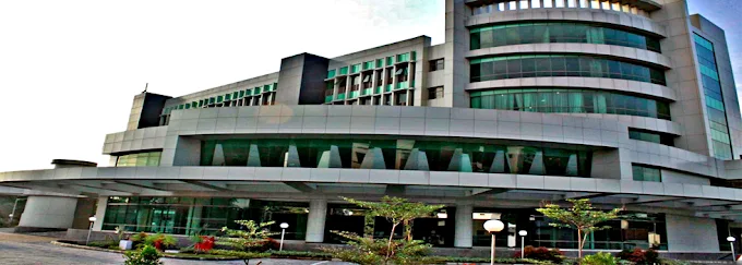 Gaji Pt Agrinas Palma Nusantaraterbaru 2025, Lengkap Semua Posisi! 2 Gaji Pt Agrinas Palma Nusantara