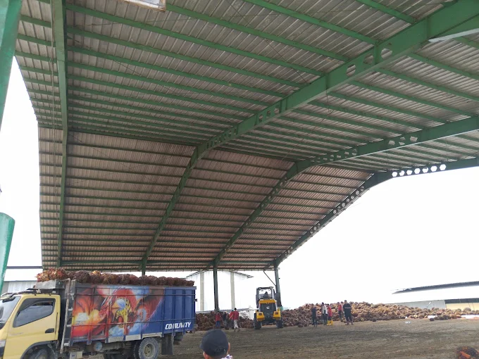 Gaji Pt Asia Sawit Makmur Jaya