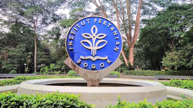 Passing Grade Ipb 2025