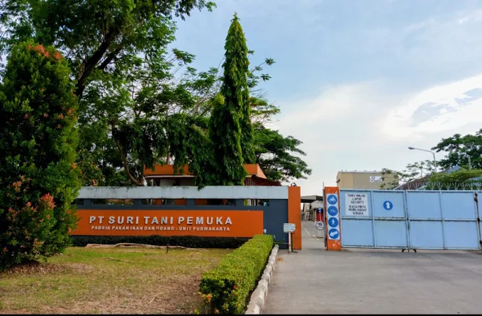 Gaji Pt Suri Tani Pemuka