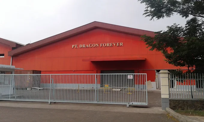 Gaji Di Pt Dragon Forever