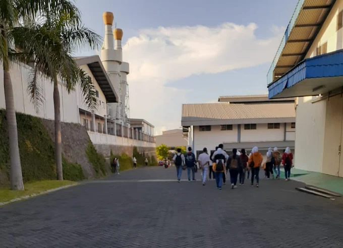 Gaji Pt Cort Indonesia 