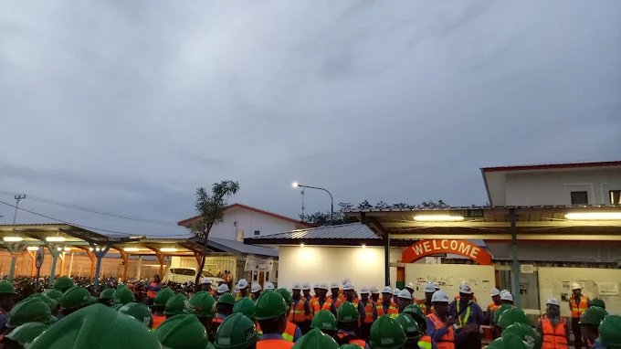 Roster kerja PT BUMA