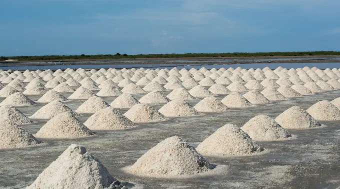 Gaji PT Bertuah Alam Nusantara 