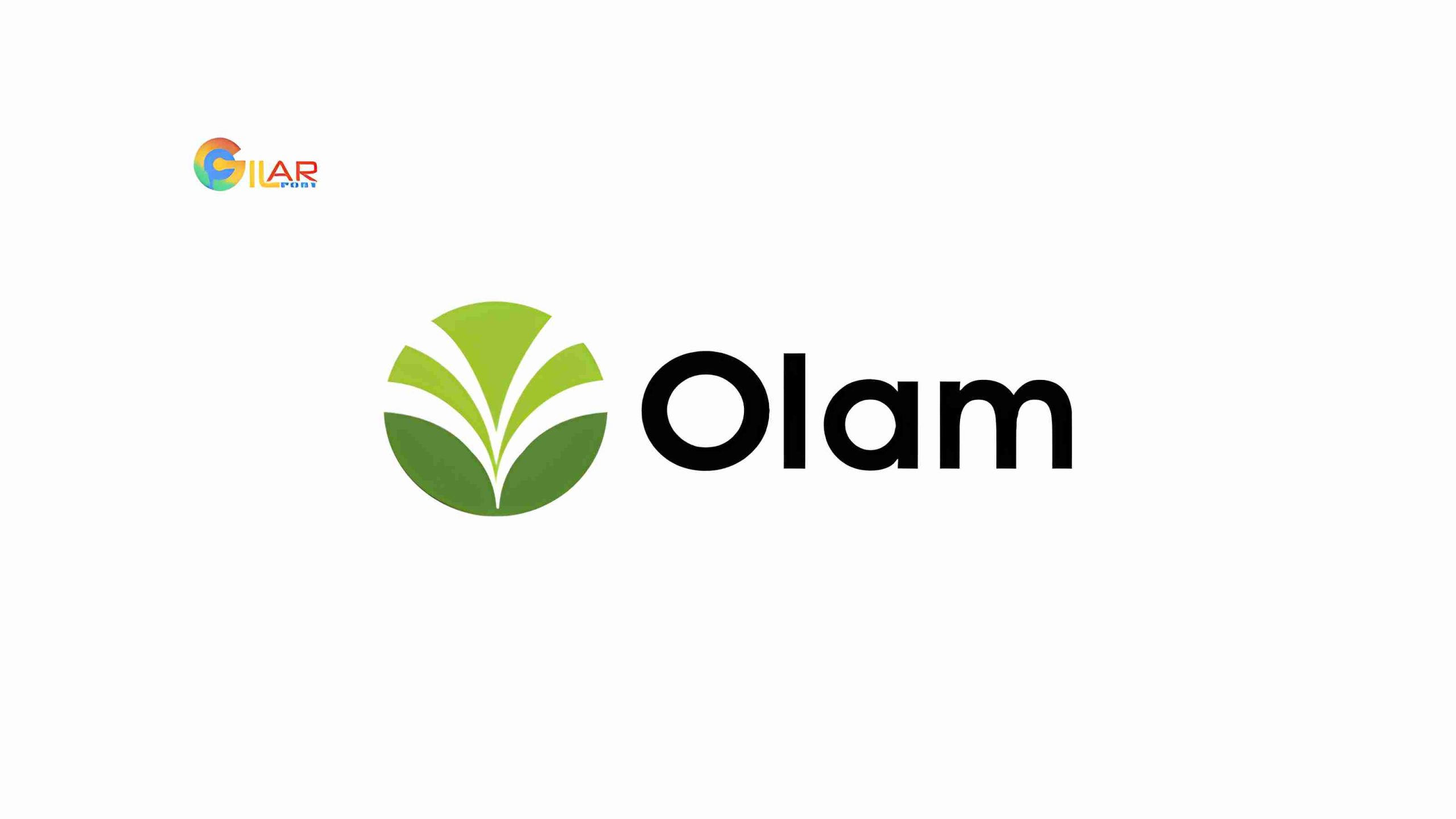 Gaji PT Olam Indonesia