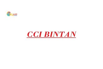 Gaji PT CCI Bintan