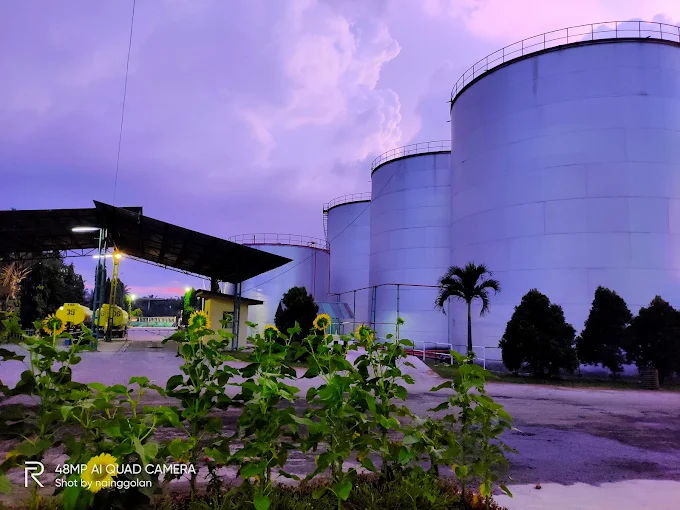 Gaji karyawan PT Sintong Abadi 